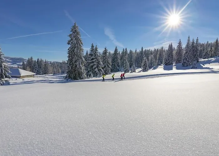 Superbe Appartement Centre Ville Proche Des Pistes