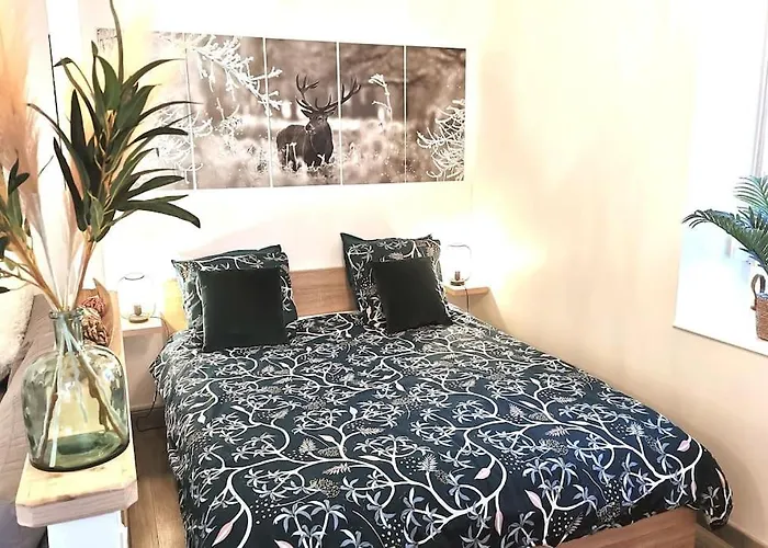 Superbe Appartement Centre Ville Proche Des Pistes