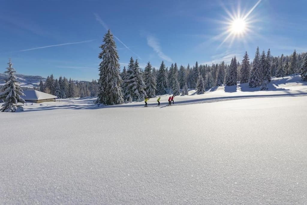 Appartement Superbe Centre Proche Des Pistes *