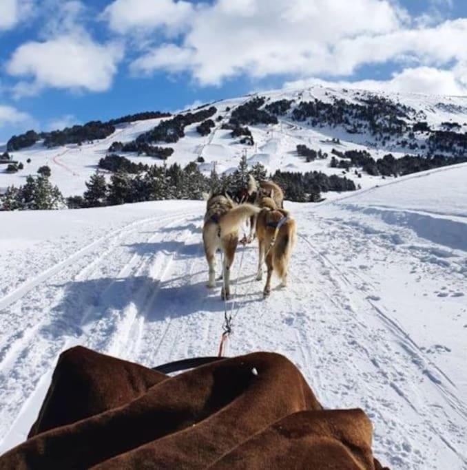 Appartement Superbe Centre Proche Des Pistes *
